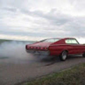 Meet your Posher, Carter